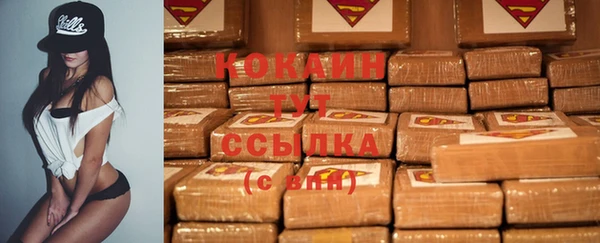 прущий лед Рославль
